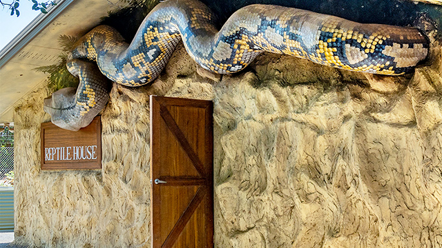 Snakes Downunder