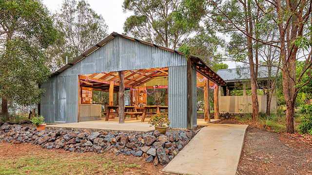 Camp Kitchen